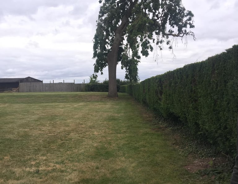 freshly cut lawn in a worcester garden