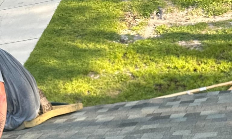tamko shingle replacement