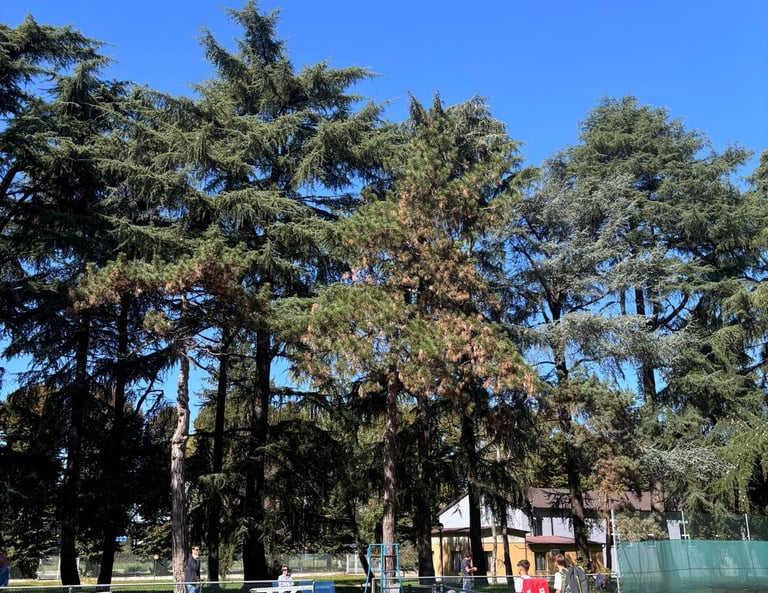 Campo da tennis in terra rossa presso il Centro Tennis Aeronautica, Milano.