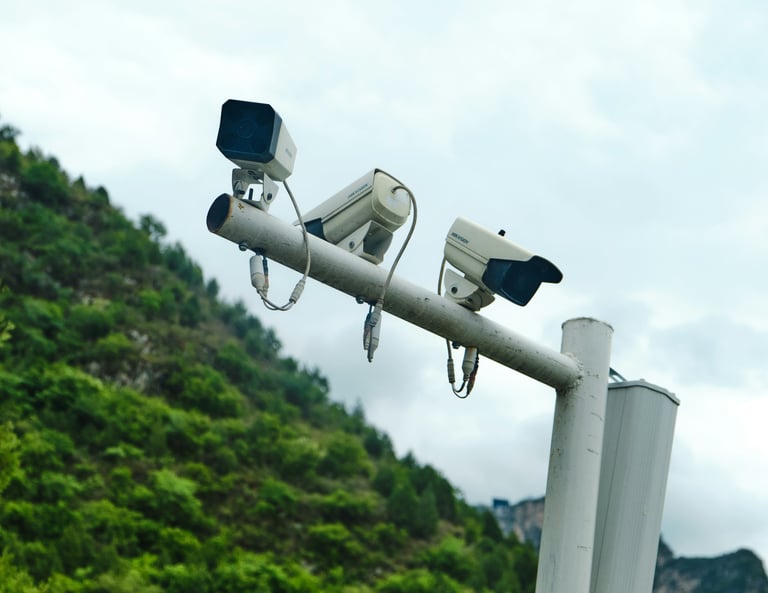 detective agency Vietnam