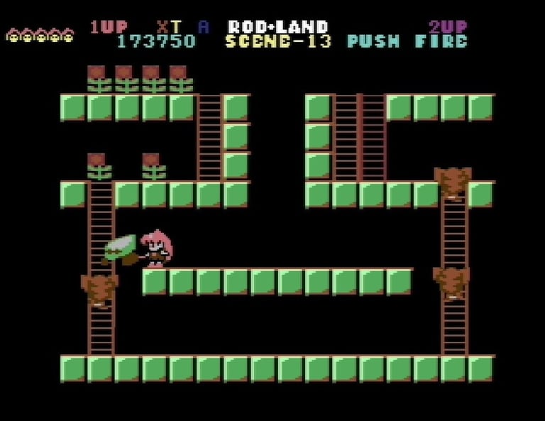 Commodore 64 Rodland Rit Grabs a Cob