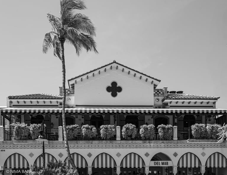 black and white shot of the del mar hotel with a tall palm tree on 5th avenue naples florida