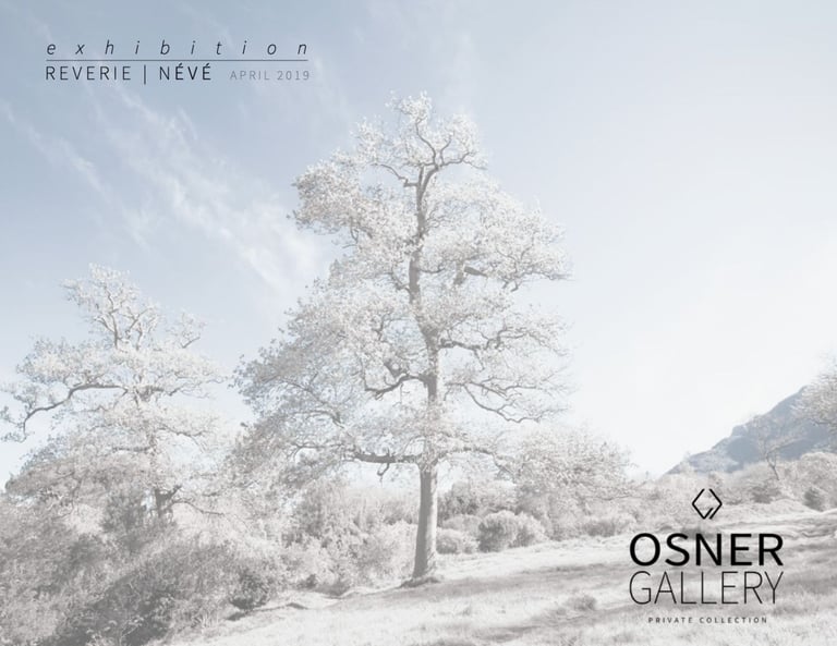 Reverie | Névé exhibition brochure featuring a soft-toned landscape with blooming trees under a pale sky, presented by Osner 
