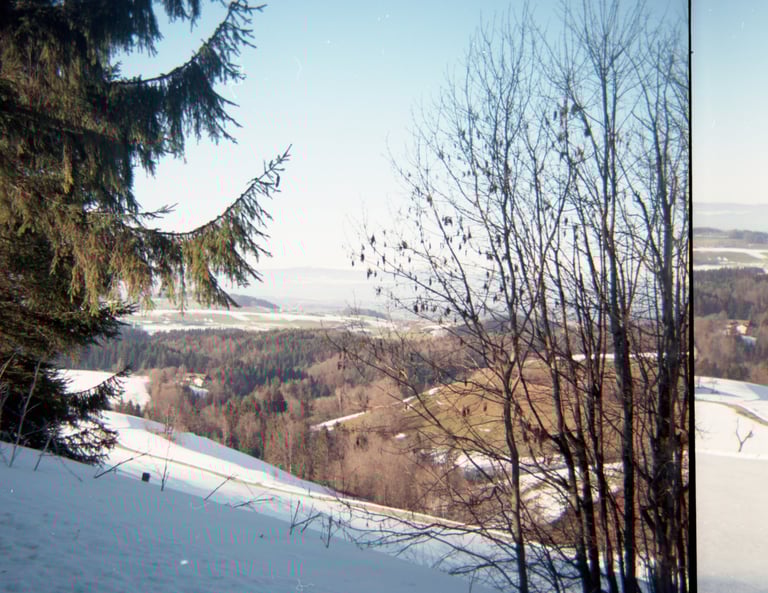 Winterausblick auf schneebedeckte Hügel und Kiefernwälder unter strahlend blauem Himmel.