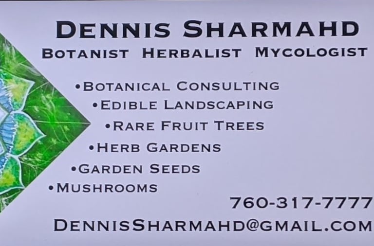 Dennis Sharmahd, botanist, herbalist, mycologist. 760-317-7777 dennissharmahd@gmail.com
