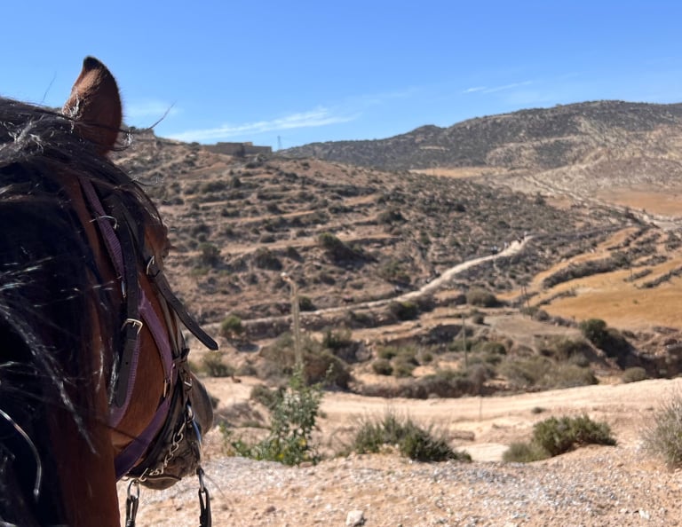 vue sur la vallée depuis le haut d'une petite montagne avec la tête d'un cheval