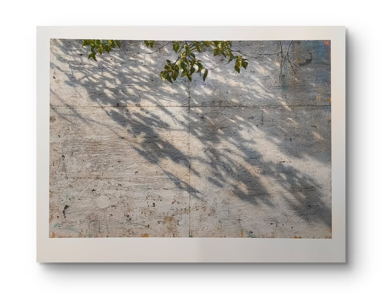COSMOGRAFIA 50 X 65