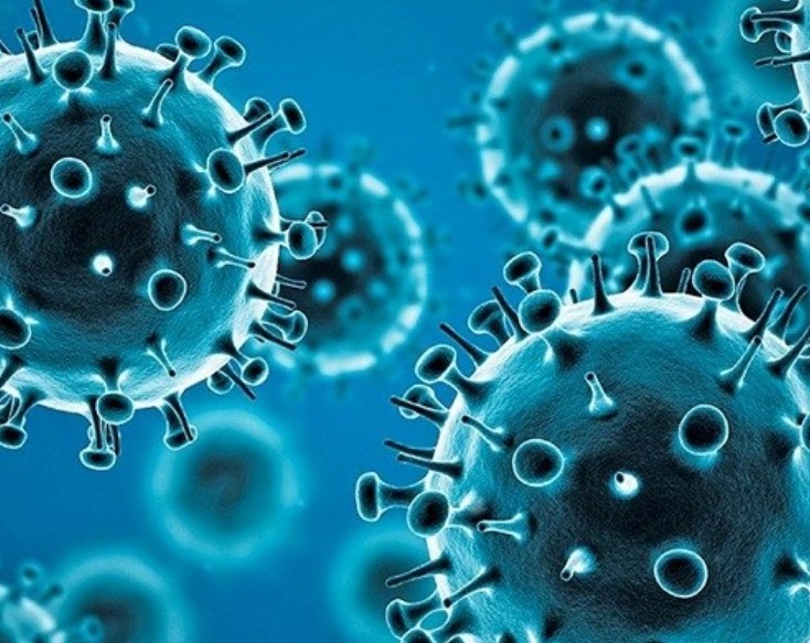 An insight on Covid-19 across the globe