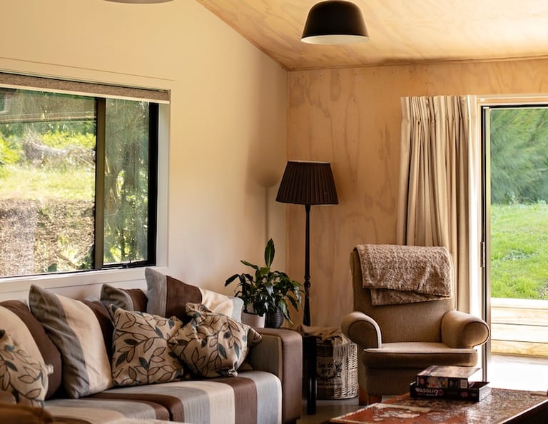 Office renovation shed conversion Tauranga