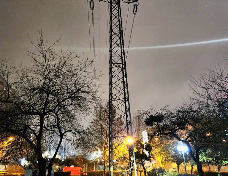 A park and high voltage line. Katowice. (c) Remigijus Šimašius