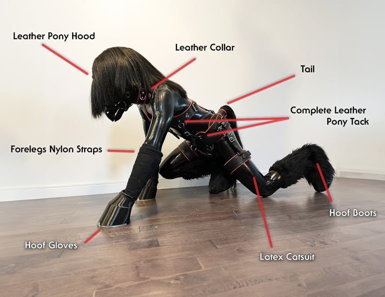 Diagram and photo of a complete human horse-play outfit.