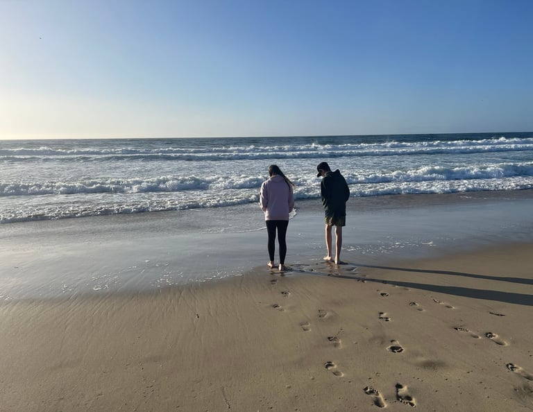casa munras dog friendly monterey ca