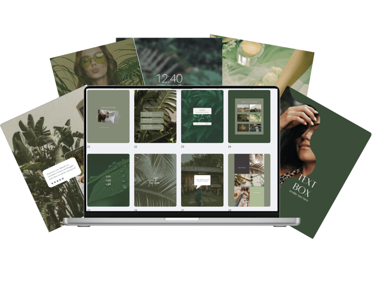 wellness super bundle