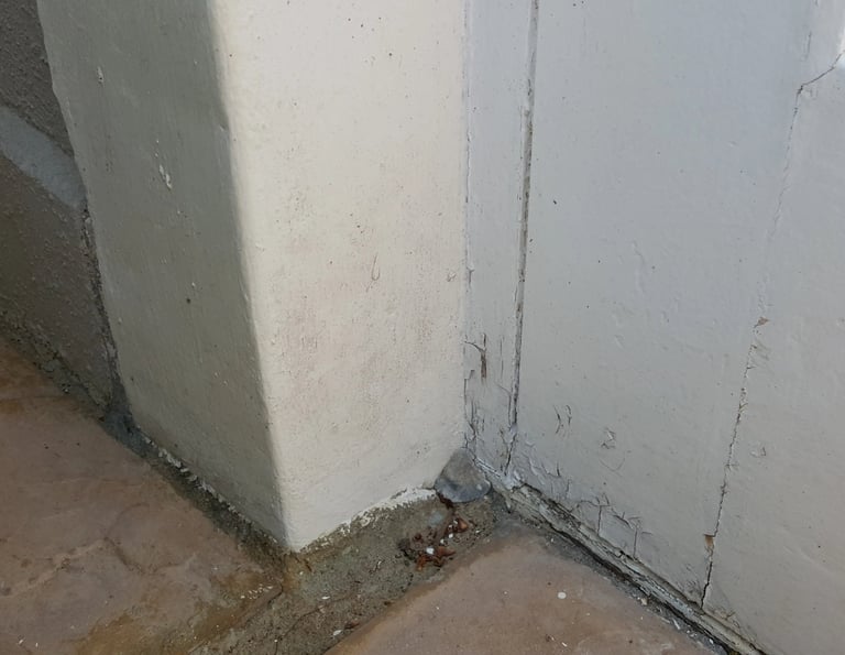 Rising Damp