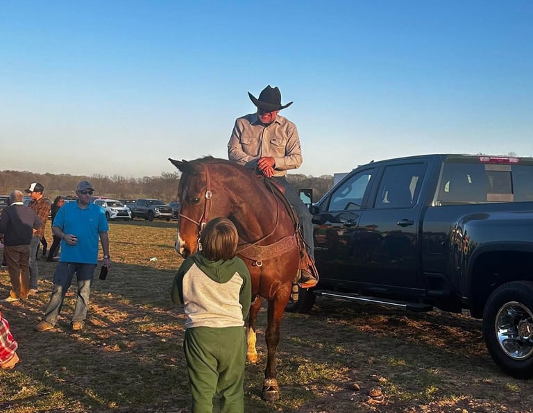 child petting a horse