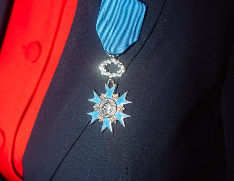 Insignes de chevalier de l'ordre national du Mérite