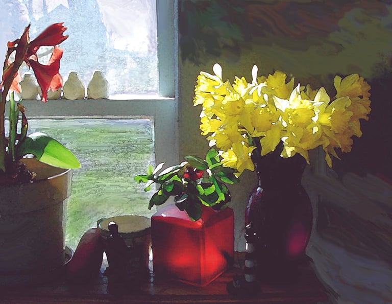 still life, blossoms in the window, daffodils