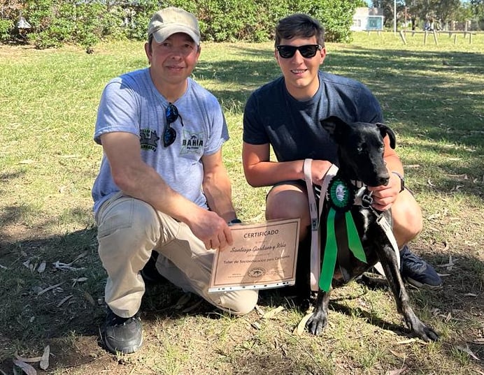 taller de cachorros certificados por un profesional
