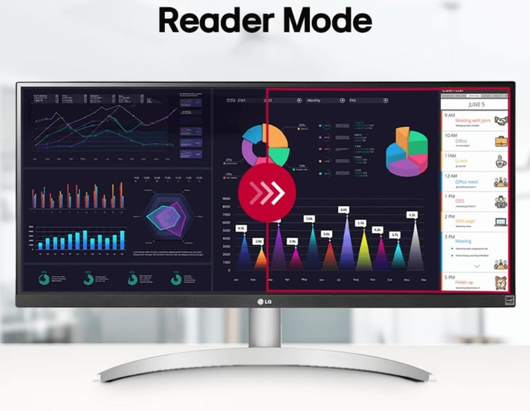 LG Ultrawide 29WP500