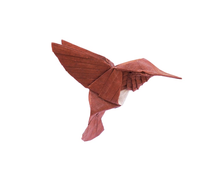 Rufous hummingbird_Cekouat León Origami