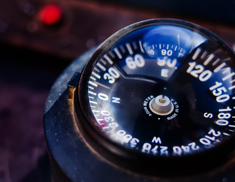 Marine Compass