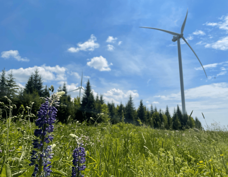 Energy Project Siting | Flycatcher LLC