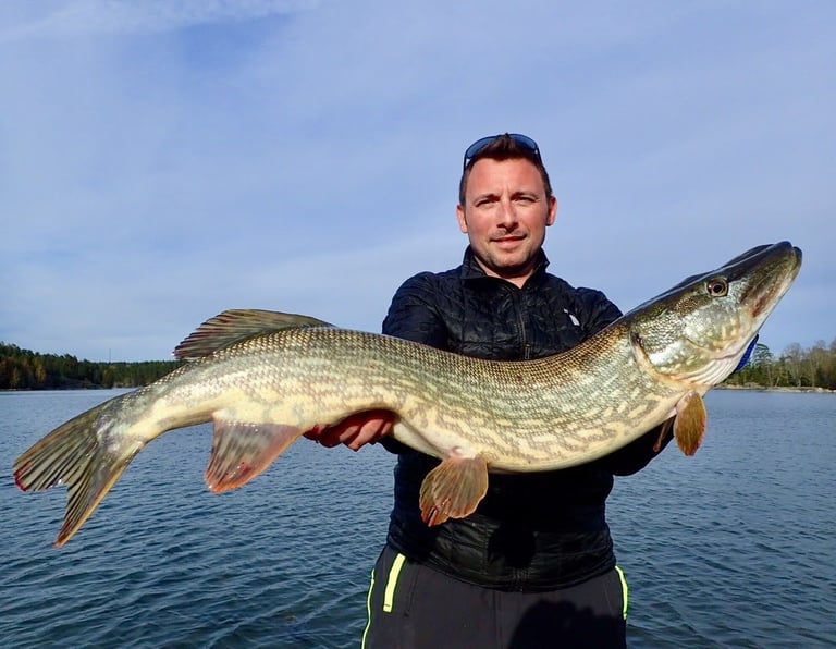 A man is on a boat, he caught a big pike in Sweden with fishing escape Sweden.