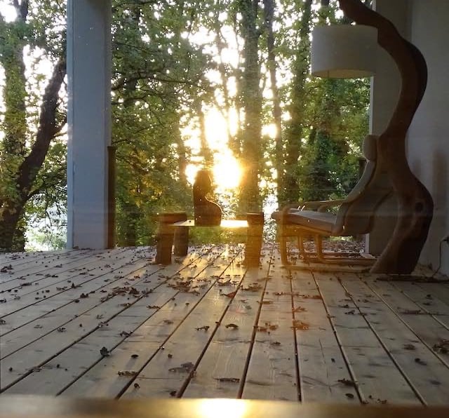 Soleil levant à travers les chênes blancs, meublé de tourisme confort et lumière