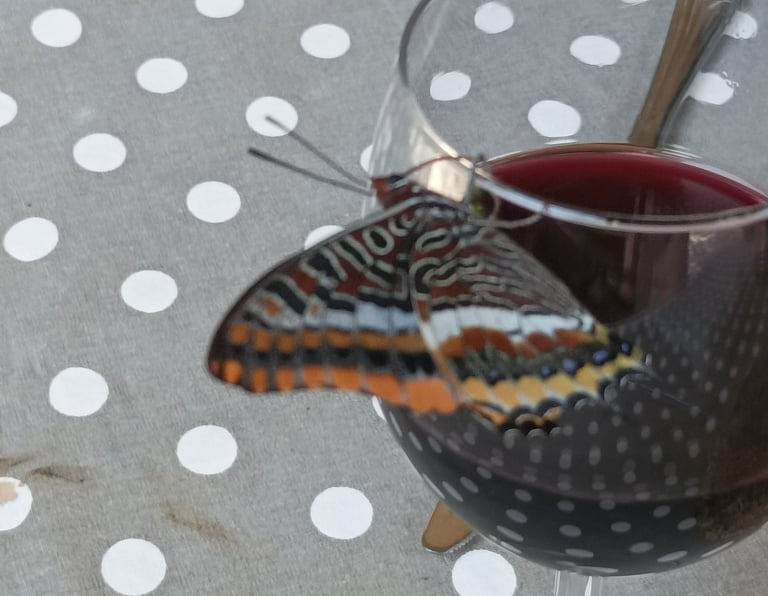 The two tailed Pasha seems partial to red wine