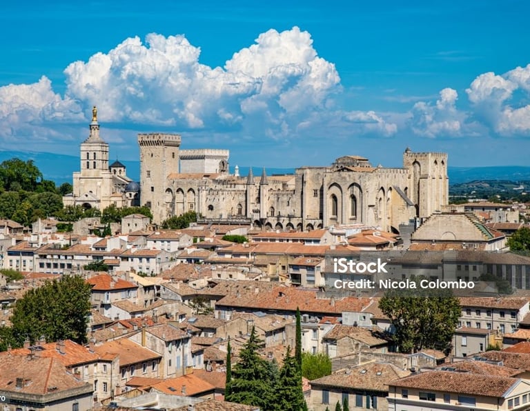 The Palais des Papes Avignon