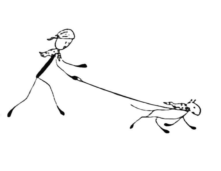 Noseknot wearing man running after a noseknot wearing dog