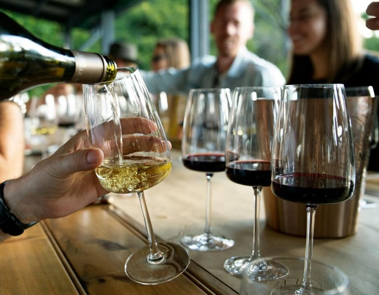 Conjunto de pessoas a divertir-se numa prova de vinhos em casa.