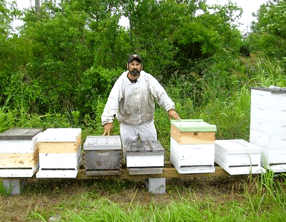 JP at one of his apiaries