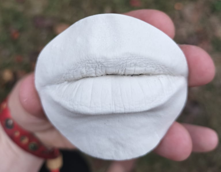 Moulage bouche