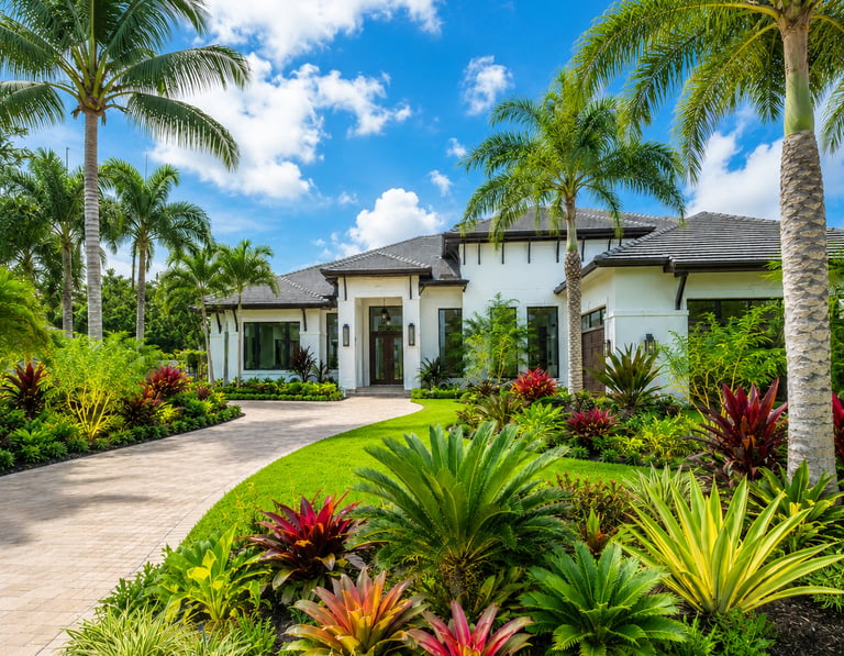tropical landscaping in front of luxury home