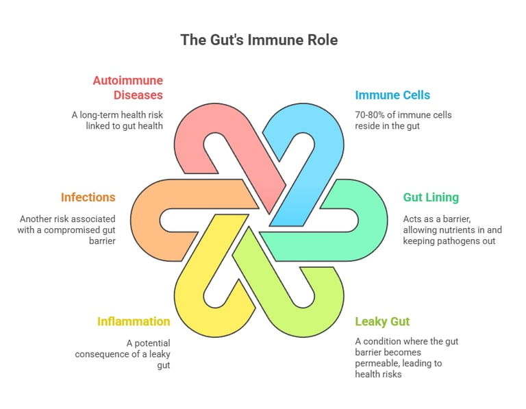 gut health immune role