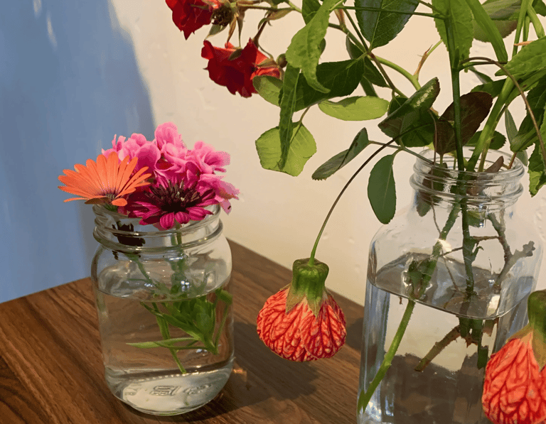 Comfortable counseling space for individuals, couples, and families – therapy in North San Diego, CA