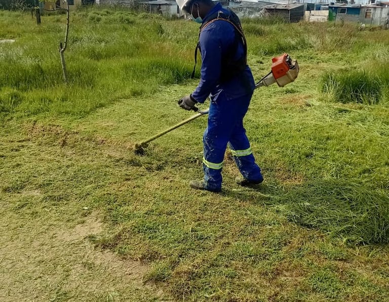 grass cutting cape town