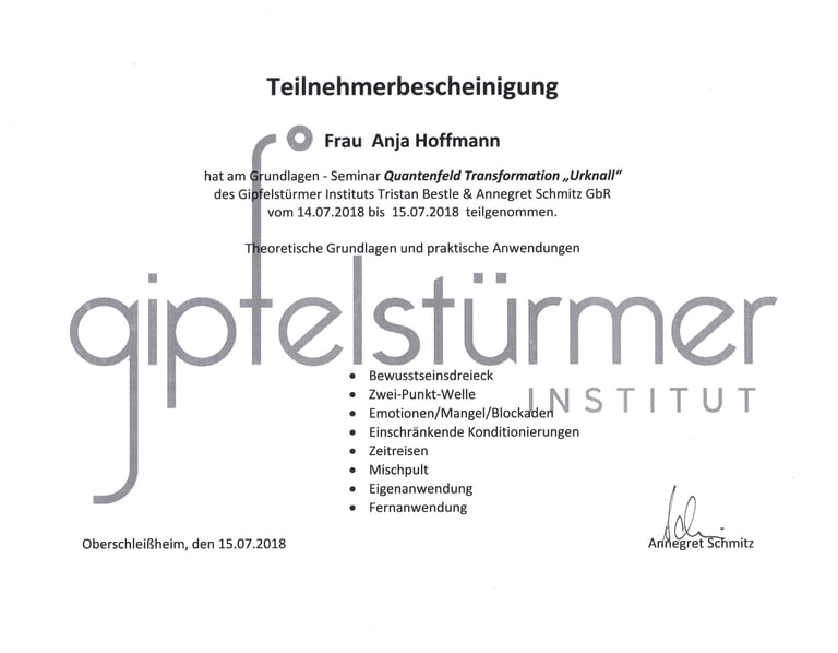 Teilnehmerbescheinigung zur Quantenfeld Theorie