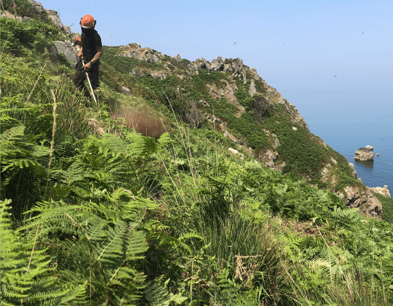 land_culture_services_conservation
