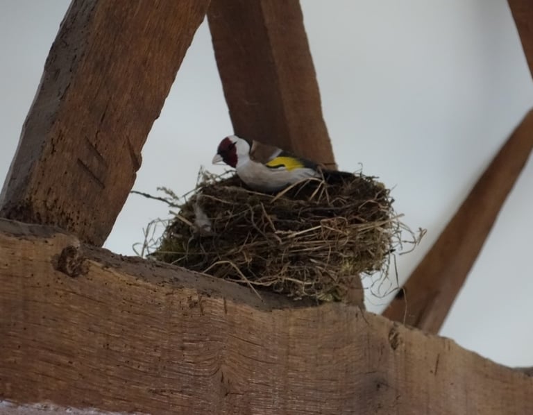 formules de séjour gîte Campénéac 1 à 4 personnes