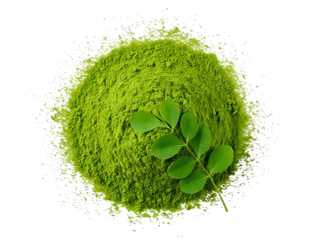 moringa leaf powder uae dubai germany