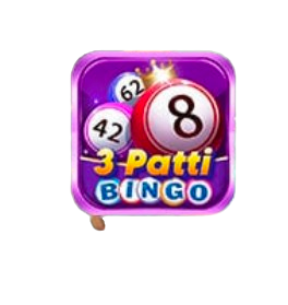 3Patti bingo, 3 Patti bingo, bingo Patti game 