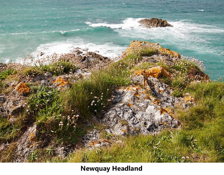 a rock formation on a cliff overlooking the ocean