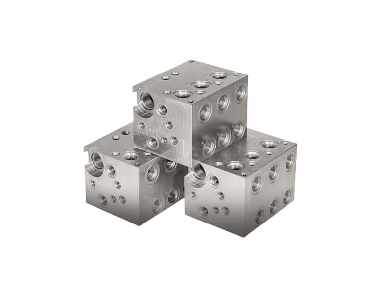 Stainless Steel Manifold Blocks