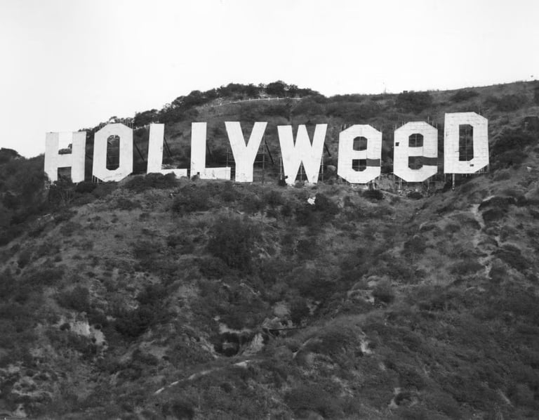 hollyweed-sign-los-angeles