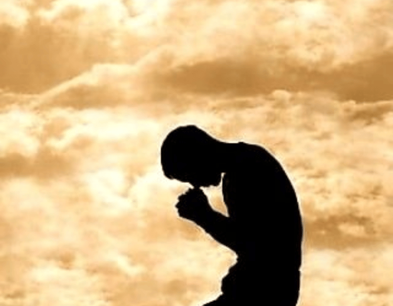 Understanding Offense