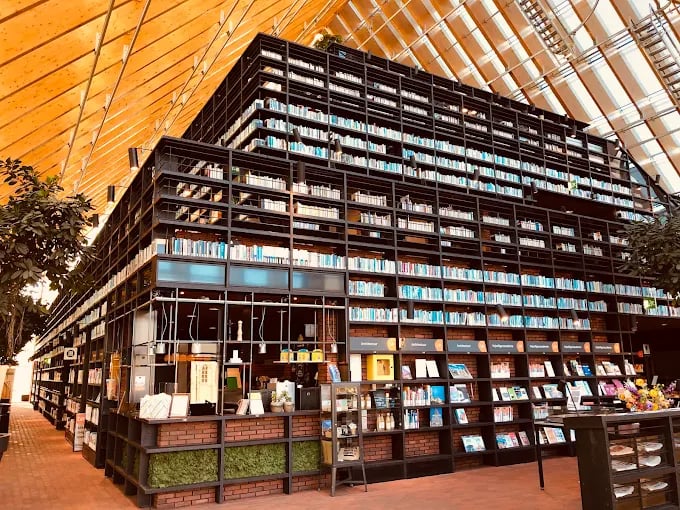 Modern library interior with towering black bookshelves and a natural wood vaulted ceiling.