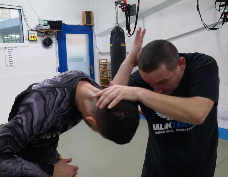 combat a mains nues avec combat cuentada