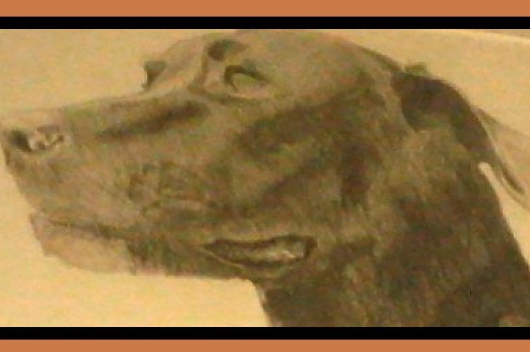 Willy Drawing by C. Brown